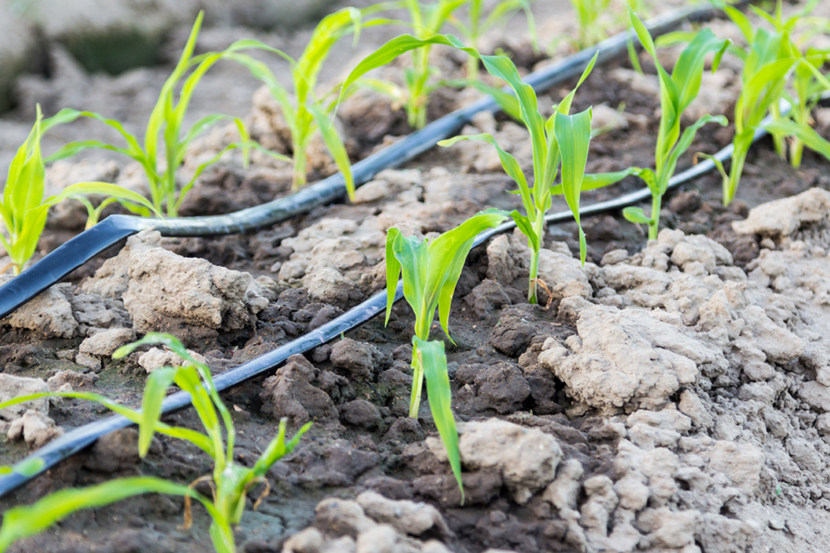 Sustainable agriculture with irrigation planning